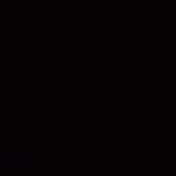 Meet your Posher, Phillip - Picture 1 of 1